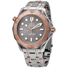 Load image into Gallery viewer, Omega Seamaster Automatic Grey Dial Men&#39;s Watch 210.60.42.20.99.001